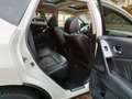 Nissan Murano Murano 2.5 D Automatik Executive Weiß - thumbnail 11