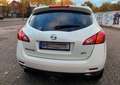 Nissan Murano Murano 2.5 D Automatik Executive Biały - thumbnail 4