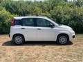 Fiat Panda Panda III 2012 1.3 mjt 16v Lounge 75cv Blanc - thumbnail 7