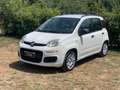 Fiat Panda Panda III 2012 1.3 mjt 16v Lounge 75cv Blanc - thumbnail 1