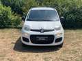 Fiat Panda Panda III 2012 1.3 mjt 16v Lounge 75cv Blanc - thumbnail 3