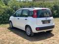 Fiat Panda Panda III 2012 1.3 mjt 16v Lounge 75cv Blanc - thumbnail 4