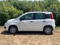 Fiat Panda Panda III 2012 1.3 mjt 16v Lounge 75cv Blanc - thumbnail 8