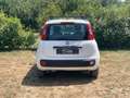 Fiat Panda Panda III 2012 1.3 mjt 16v Lounge 75cv Blanc - thumbnail 6