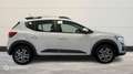 Dacia Sandero 1.0 ECO-G 100ch Stepway Confort -22 - thumbnail 4