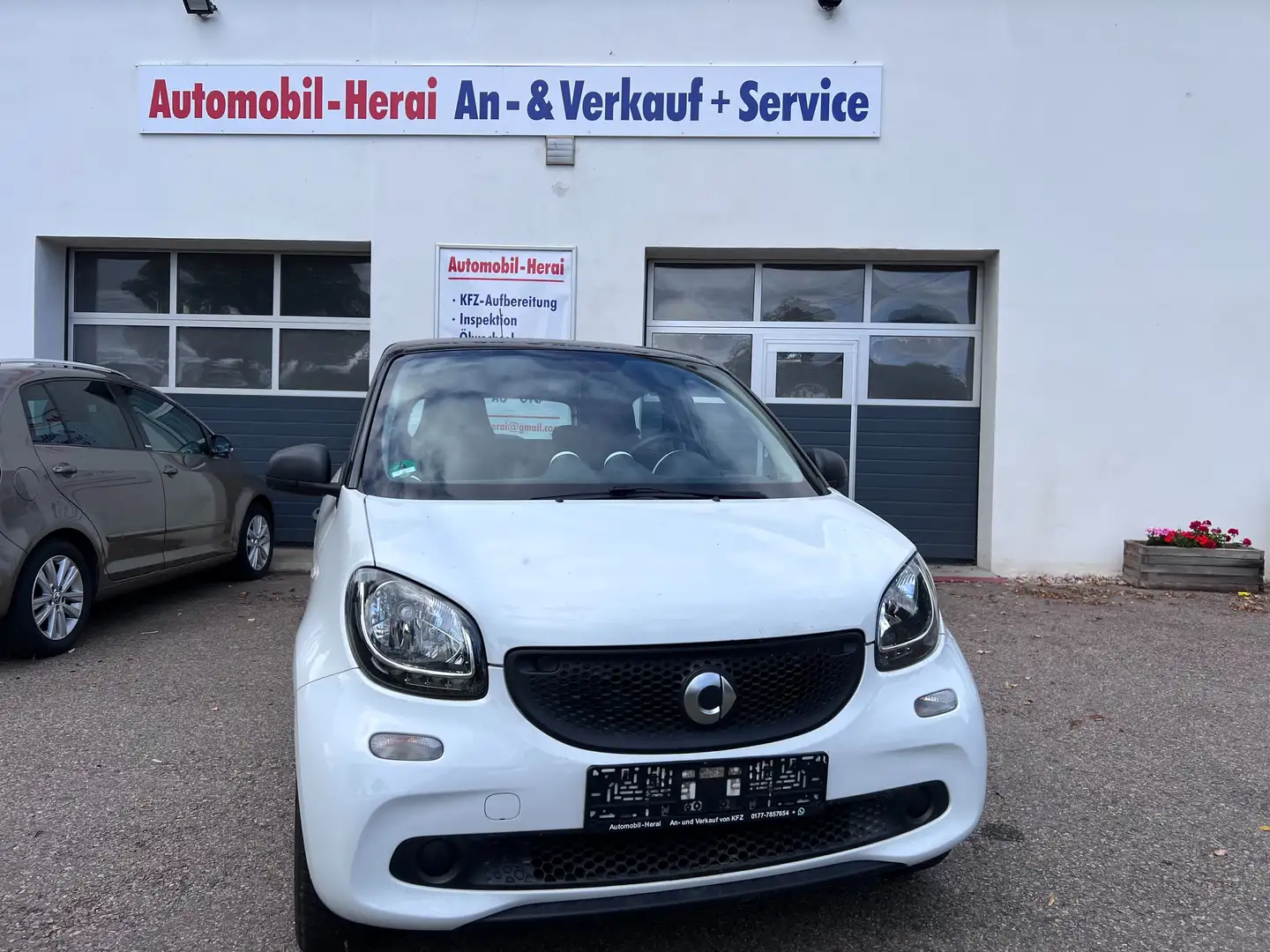 smart forFour Basis 45kW (453.041) (Top Auto) Weiß - 2