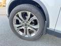 SsangYong Rexton Rexton Noblesse 2.2 4x4 AHK 360° Navi 20" Blanc - thumbnail 4