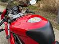 Ducati 900 SS Supersport *Collectors Item* @AelbrechtMotors Rojo - thumbnail 6