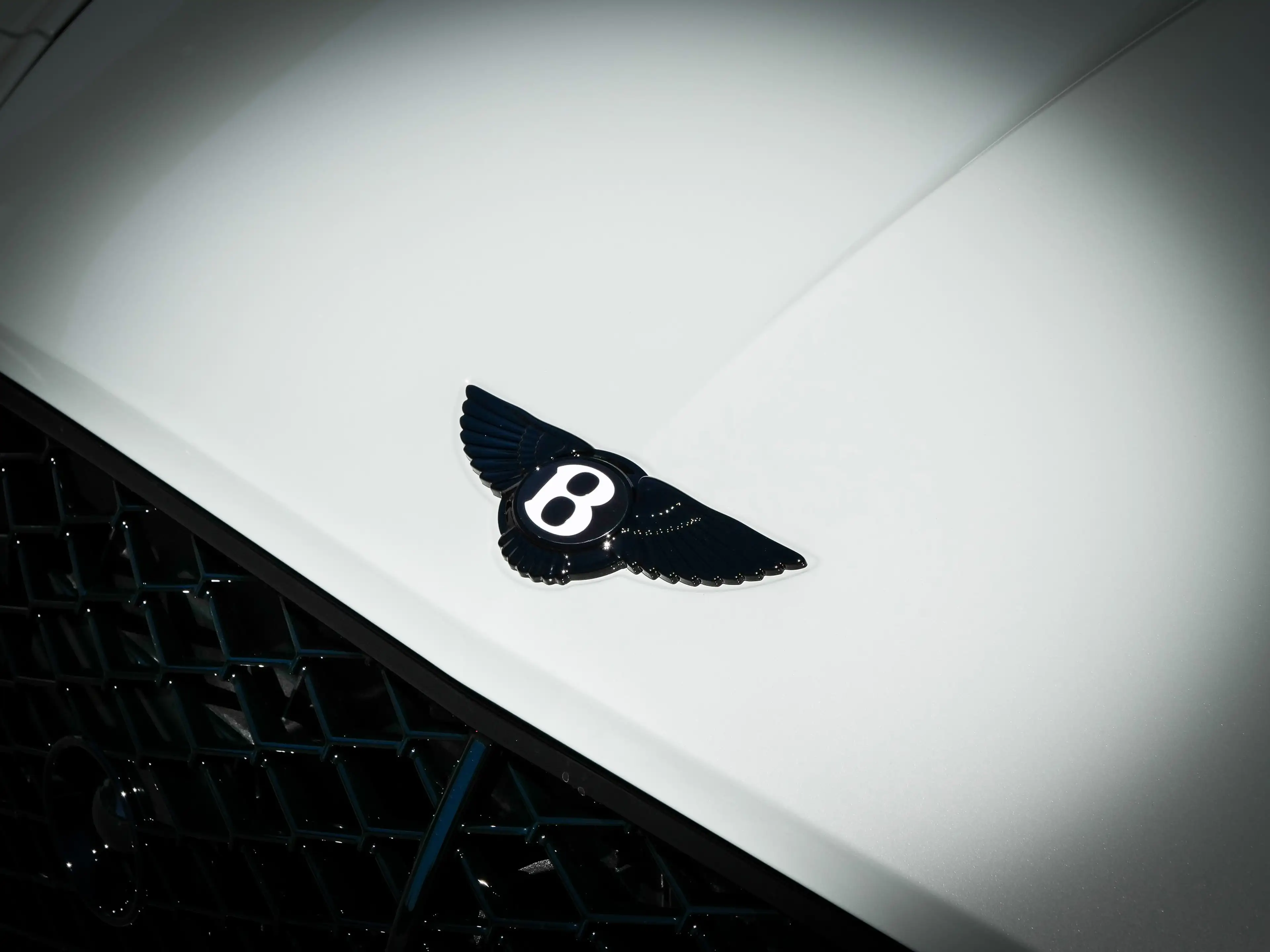 Bentley Continental GT S Bang & Olufsen, Rotating Display — photo 10