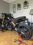 Ducati Scrambler Ducati Scrambler 1100 Sport Pro ÖHLINS Notverkauf Noir - thumbnail 5
