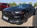 Ford Mustang 5.0 GT Shelby Look PREMIUM Carfax Negro - thumbnail 5