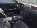 Ford Mustang 5.0 GT Shelby Look PREMIUM Carfax Negro - thumbnail 16