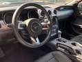Ford Mustang 5.0 GT Shelby Look PREMIUM Carfax Negro - thumbnail 12