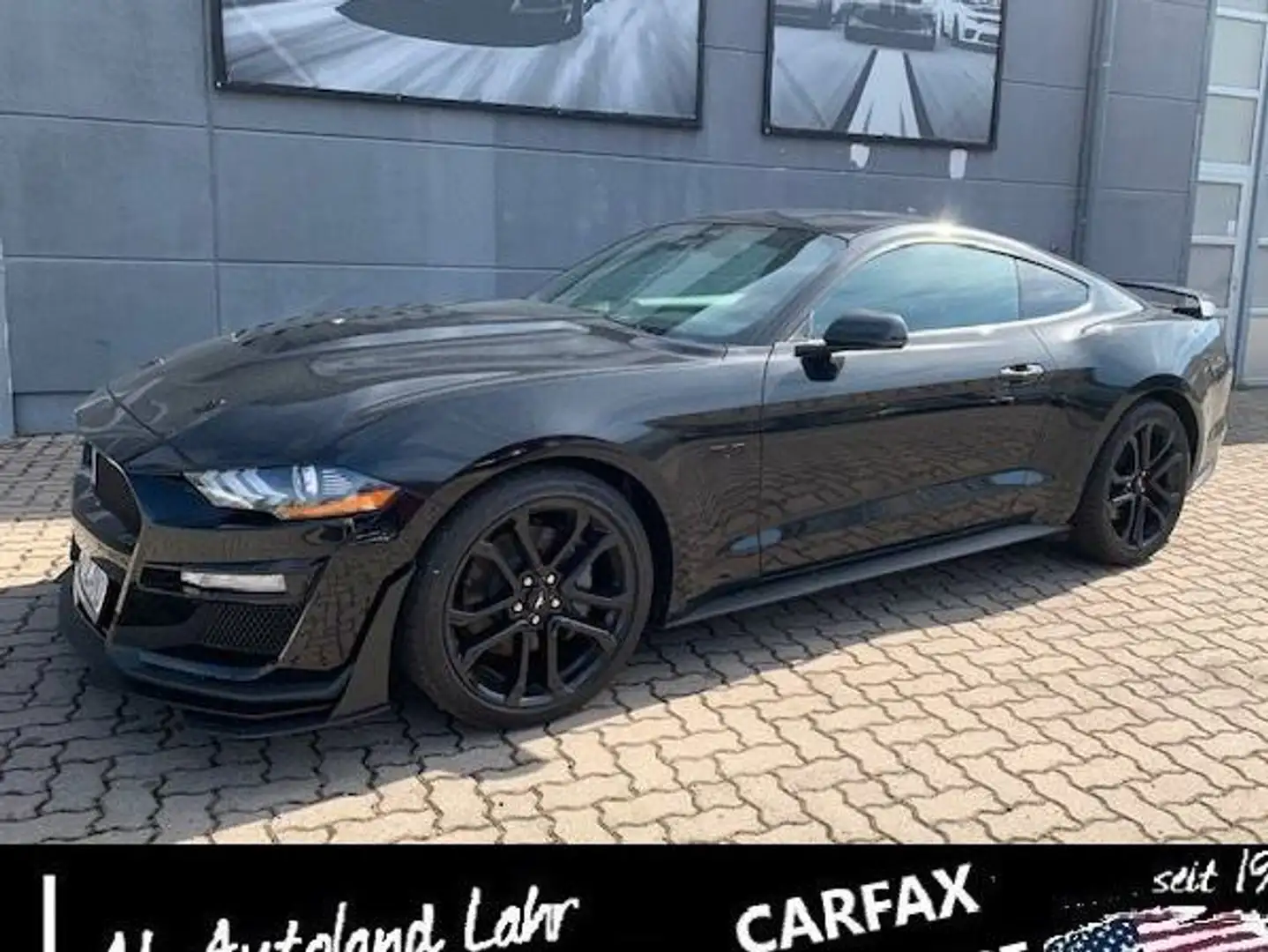 Ford Mustang 5.0 GT Shelby Look PREMIUM Carfax Negro - 2