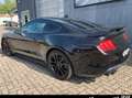 Ford Mustang 5.0 GT Shelby Look PREMIUM Carfax Negro - thumbnail 19
