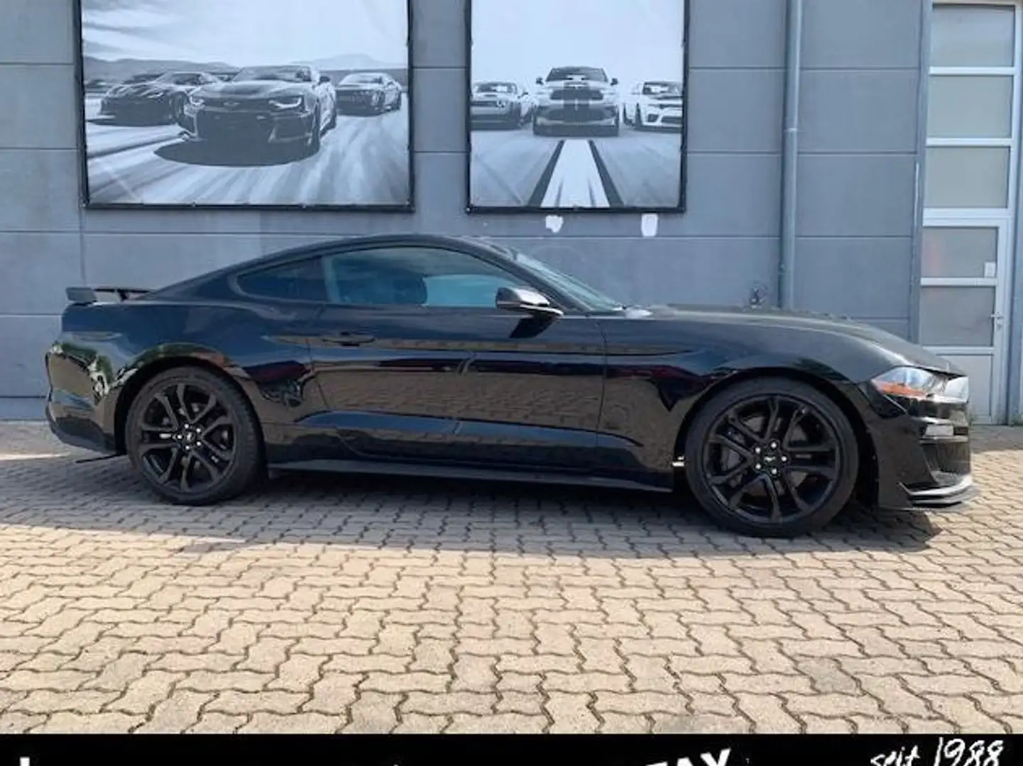 Ford Mustang 5.0 GT Shelby Look PREMIUM Carfax Negro - 1