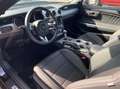 Ford Mustang 5.0 GT Shelby Look PREMIUM Carfax Negro - thumbnail 11