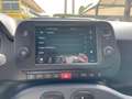 Fiat Panda Panda Cross 1.0 FireFly S&S Hybrid Verde - thumbnail 10