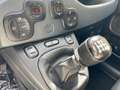 Fiat Panda Panda Cross 1.0 FireFly S&S Hybrid Verde - thumbnail 13
