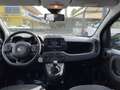 Fiat Panda Panda Cross 1.0 FireFly S&S Hybrid Verde - thumbnail 21