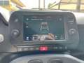 Fiat Panda Panda Cross 1.0 FireFly S&S Hybrid Verde - thumbnail 12