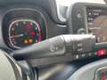 Fiat Panda Panda Cross 1.0 FireFly S&S Hybrid Verde - thumbnail 19