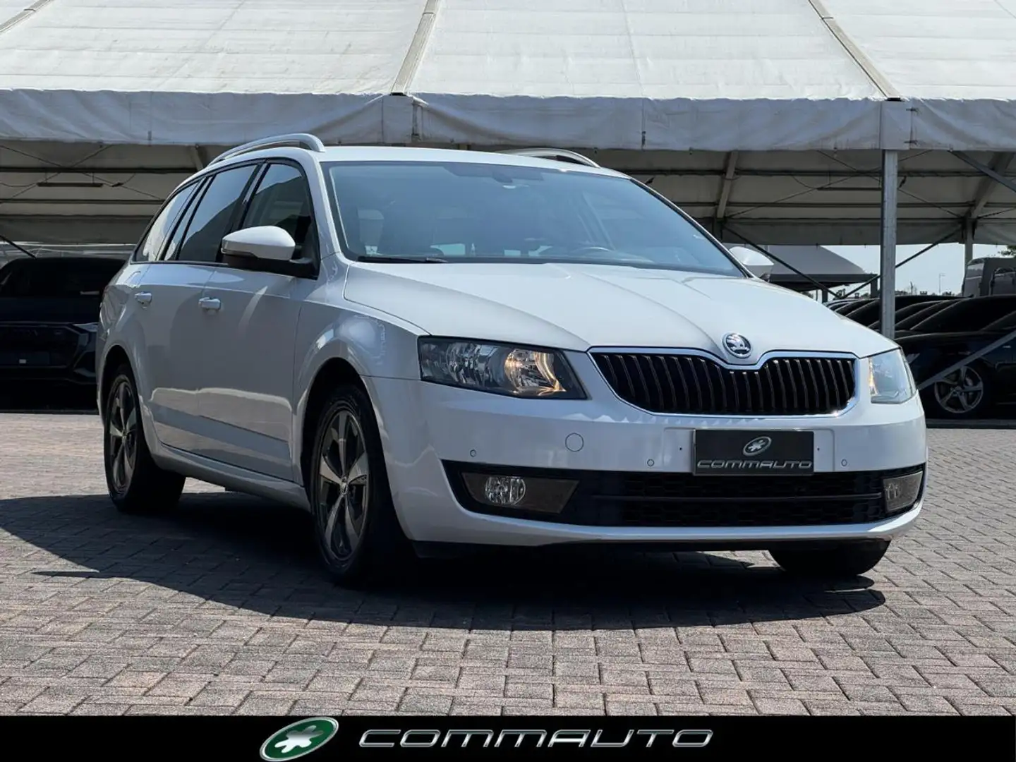Skoda Octavia 1.6 TDI 110 CV Wagon GreenLine Bianco - 2