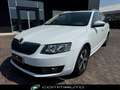 Skoda Octavia 1.6 TDI 110 CV Wagon GreenLine Bianco - thumbnail 6