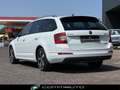Skoda Octavia 1.6 TDI 110 CV Wagon GreenLine Bianco - thumbnail 3