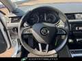 Skoda Octavia 1.6 TDI 110 CV Wagon GreenLine Bianco - thumbnail 13