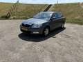 Skoda Octavia 1.4 TSI Elegance Grijs - thumbnail 1