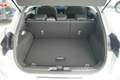 Ford Puma Titanium Automatik-Navi-Kamera-Winterpaket Grau - thumbnail 10