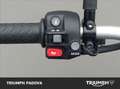 Triumph Scrambler 900 Gold-Line Blu/Azzurro - thumbnail 12