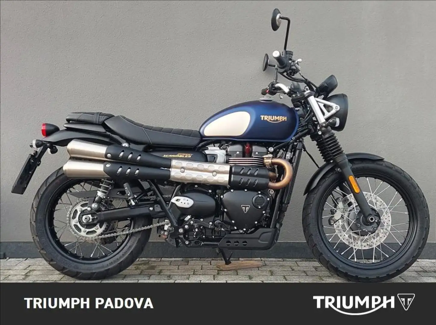 Triumph Scrambler 900 Gold-Line Blu/Azzurro - 1