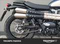Triumph Scrambler 900 Gold-Line Blu/Azzurro - thumbnail 2