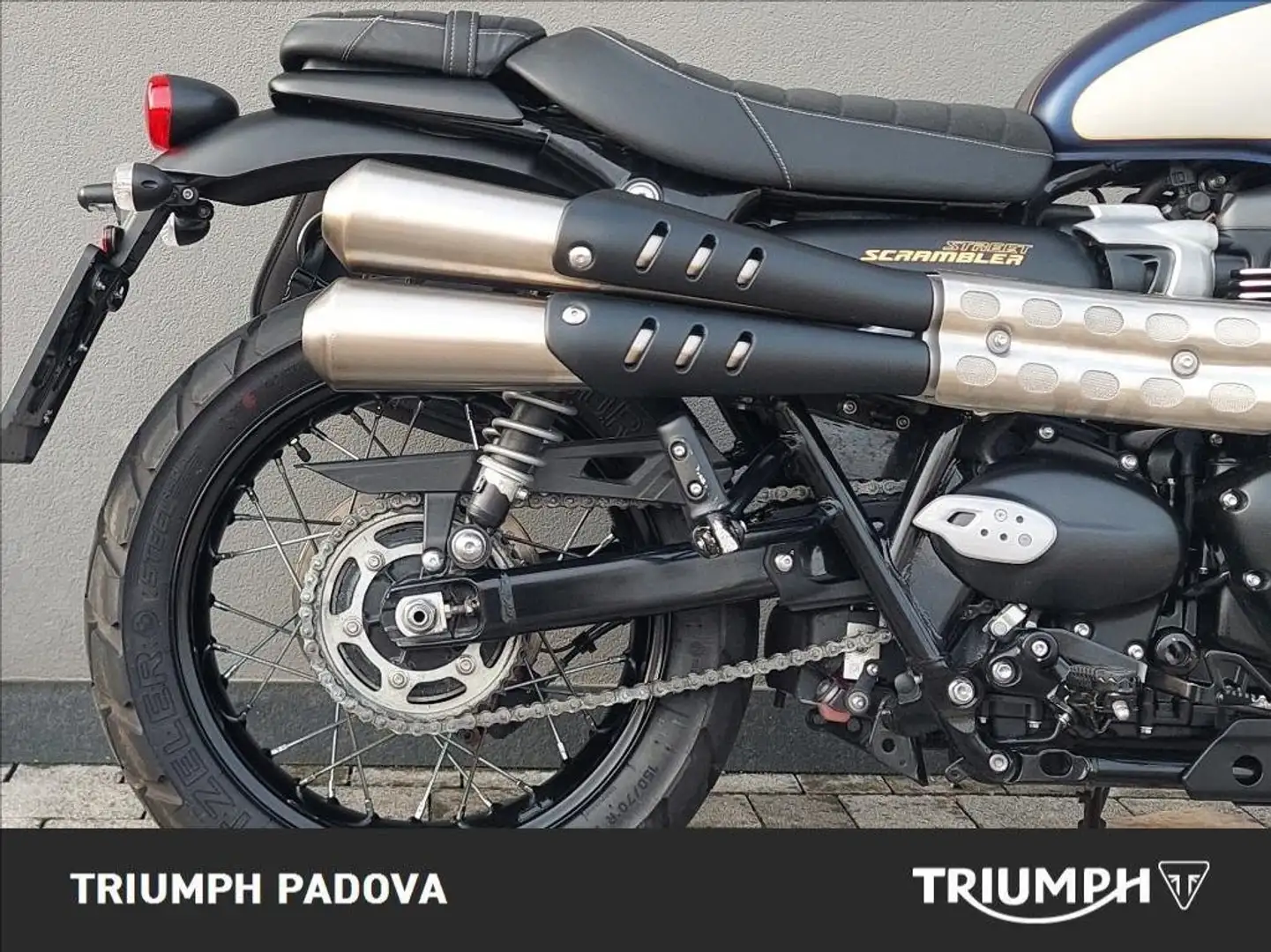 Triumph Scrambler 900 Gold-Line Blu/Azzurro - 2