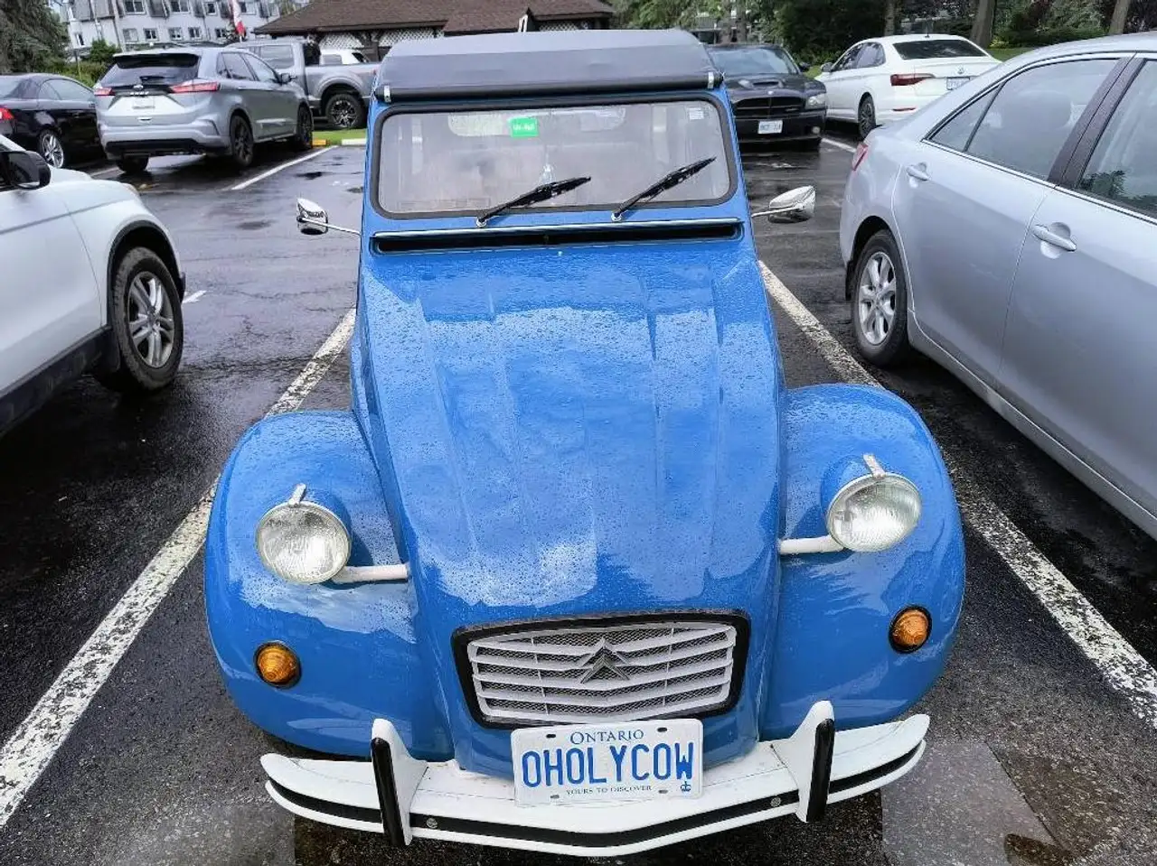 Citroen 2CV photo Citroen 2CV