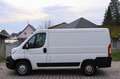 Citroen Jumper Kasten 30 L1H1 Control BlueHDi 120 Start& Blanc - thumbnail 5