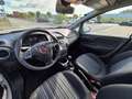 Fiat Punto Evo Fiat Punto Evo 1.4 5p MyLife S&S Dualogic 150° Bianco - thumbnail 7