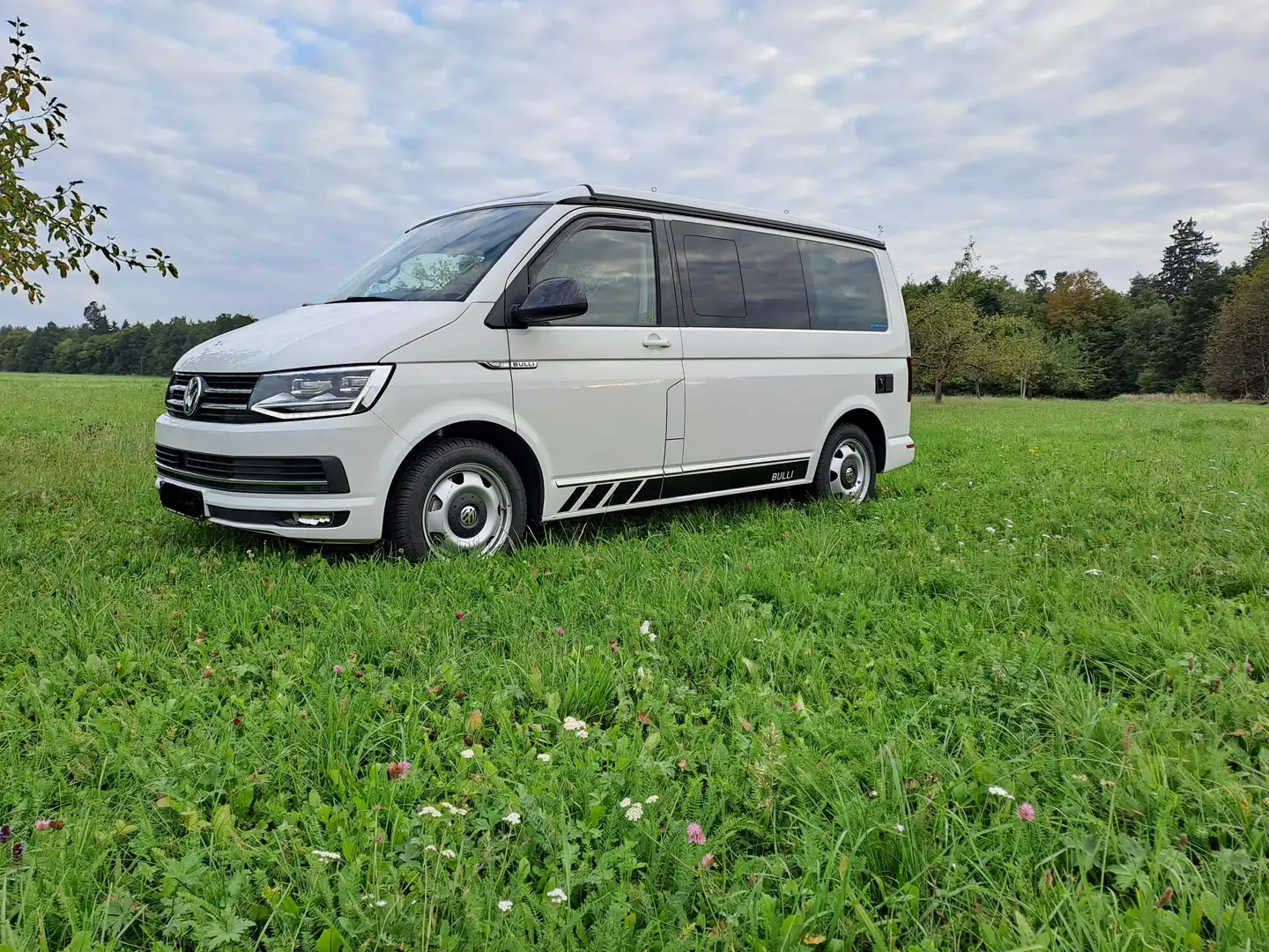 Volkswagen T6 California Ocean - 2