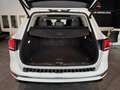 Volkswagen Touareg V6 TDI Executive Edition/Pano+Stand-Hzg Weiß - thumbnail 9