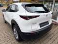 Mazda CX-30 L SKYACTIV-G 2.0 M Hybrid 5T 6GS AL-SELECTION Blue Weiß - thumbnail 4