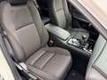 Mazda CX-30 L SKYACTIV-G 2.0 M Hybrid 5T 6GS AL-SELECTION Blue Weiß - thumbnail 15