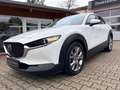 Mazda CX-30 L SKYACTIV-G 2.0 M Hybrid 5T 6GS AL-SELECTION Blue Weiß - thumbnail 1