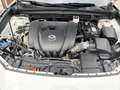 Mazda CX-30 L SKYACTIV-G 2.0 M Hybrid 5T 6GS AL-SELECTION Blue Weiß - thumbnail 20