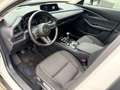 Mazda CX-30 L SKYACTIV-G 2.0 M Hybrid 5T 6GS AL-SELECTION Blue Weiß - thumbnail 14