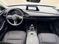 Mazda CX-30 L SKYACTIV-G 2.0 M Hybrid 5T 6GS AL-SELECTION Blue Weiß - thumbnail 12