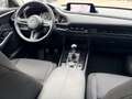 Mazda CX-30 L SKYACTIV-G 2.0 M Hybrid 5T 6GS AL-SELECTION Blue Weiß - thumbnail 11