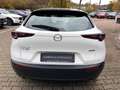 Mazda CX-30 L SKYACTIV-G 2.0 M Hybrid 5T 6GS AL-SELECTION Blue Weiß - thumbnail 5
