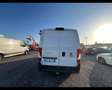 Fiat Ducato 35 2.3 MJT 130CV PLM-TM Furgone Blanc - thumbnail 8